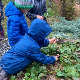 Un jardin à l’école de Liddes