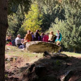 Promenade d’école en forêt