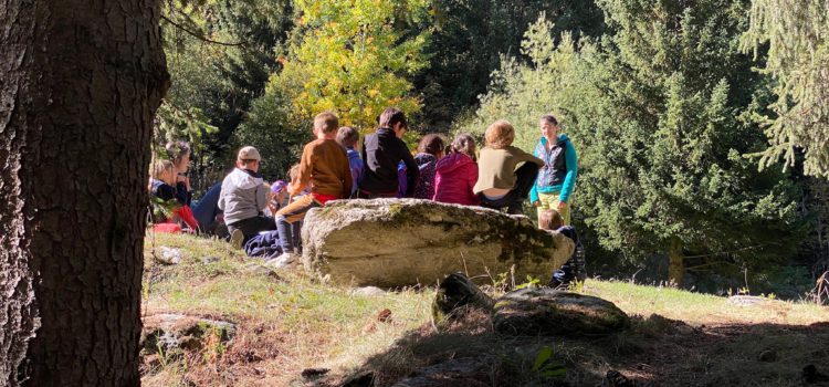 Promenade d’école en forêt