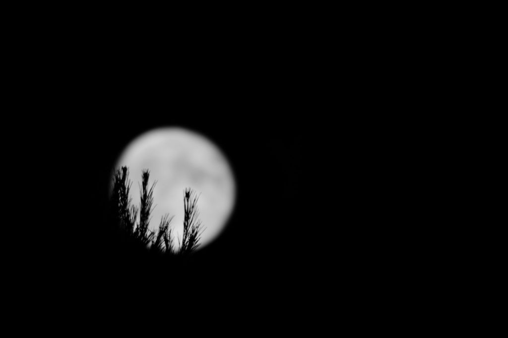 a black and white photo of a full moon