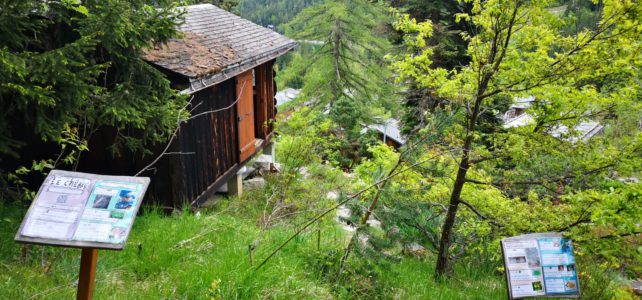 Les arbres et le jardin Alpin Les arbres et le jardin Alpin